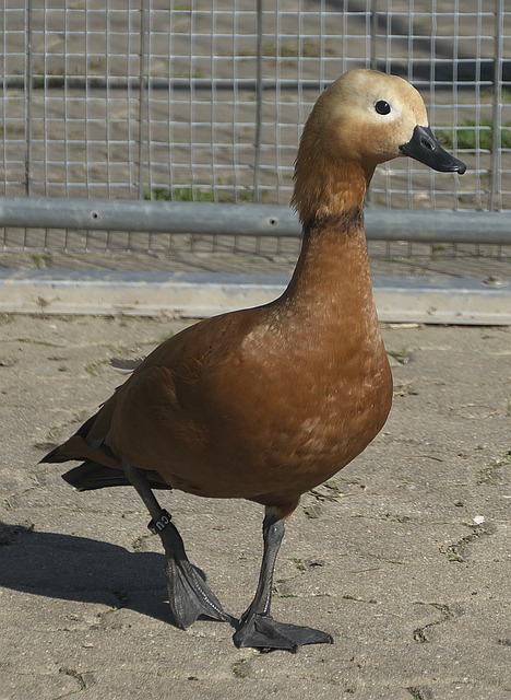 岁之后