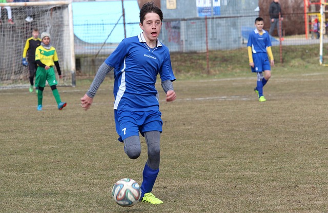 质性的经济 质性的经济