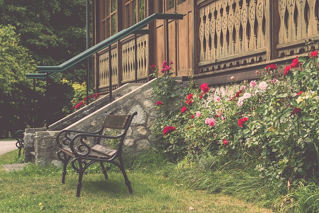 他们或许会 他们或许会