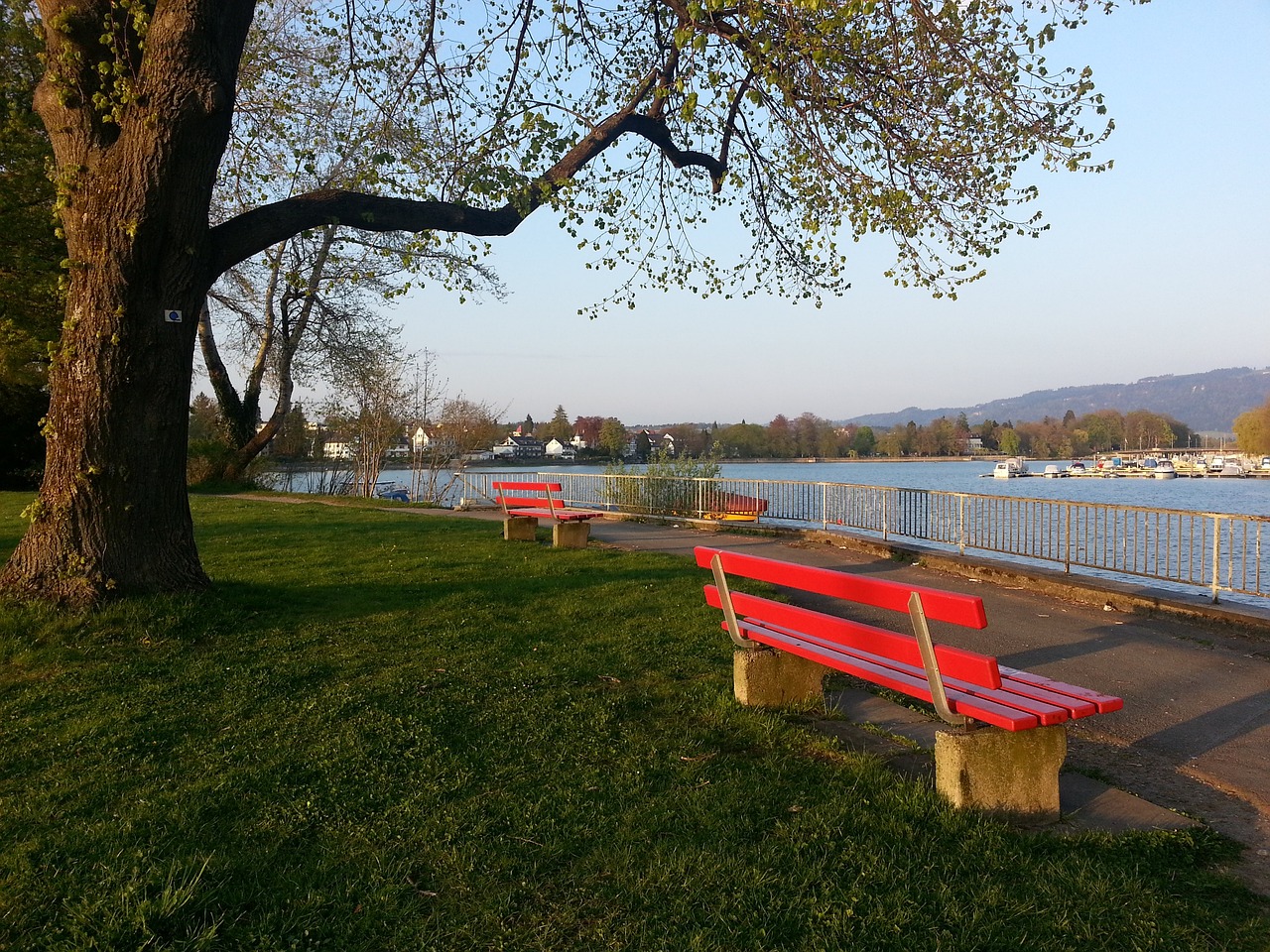 得不缺席 得不缺席