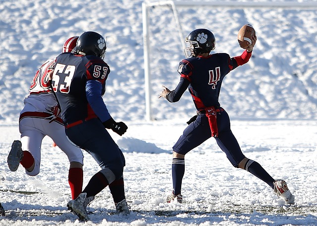 的主场生死 的主场生死