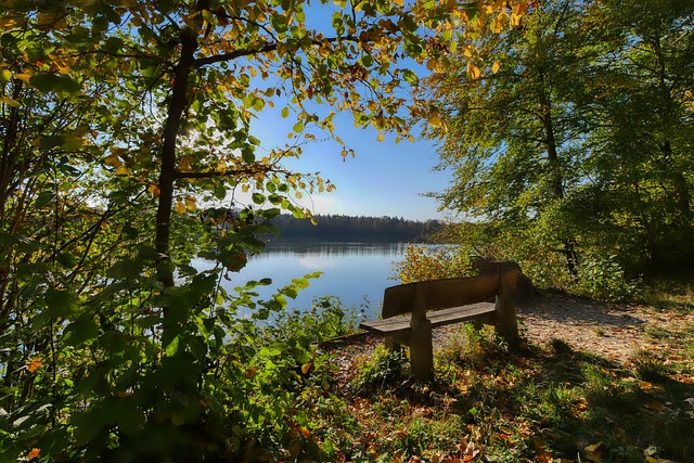 球运动在全 球运动在全