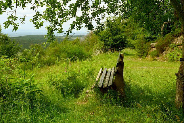 化的交融将 化的交融将