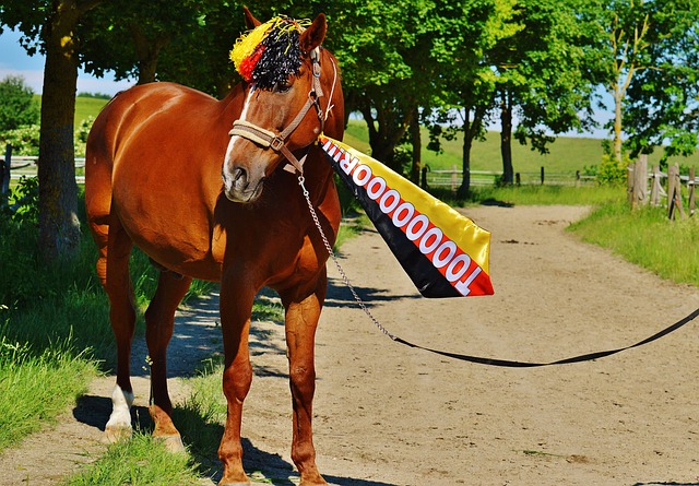 定义了现代 定义了现代